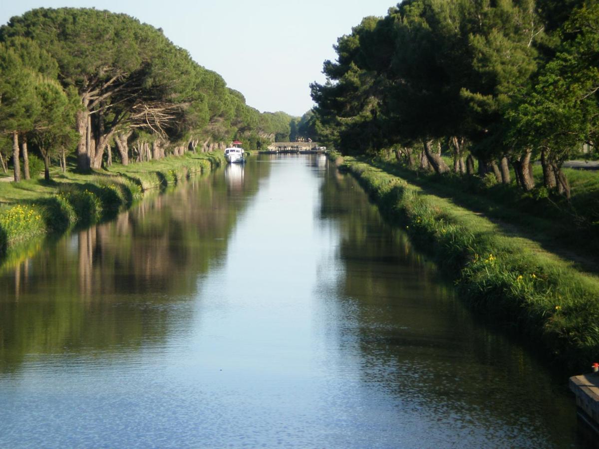 Domaine De L'Herbe Sainte Mirepeisset Esterno foto