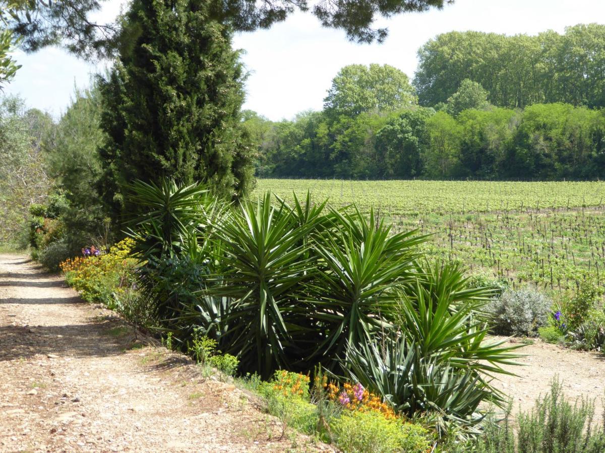 Domaine De L'Herbe Sainte Mirepeisset Esterno foto