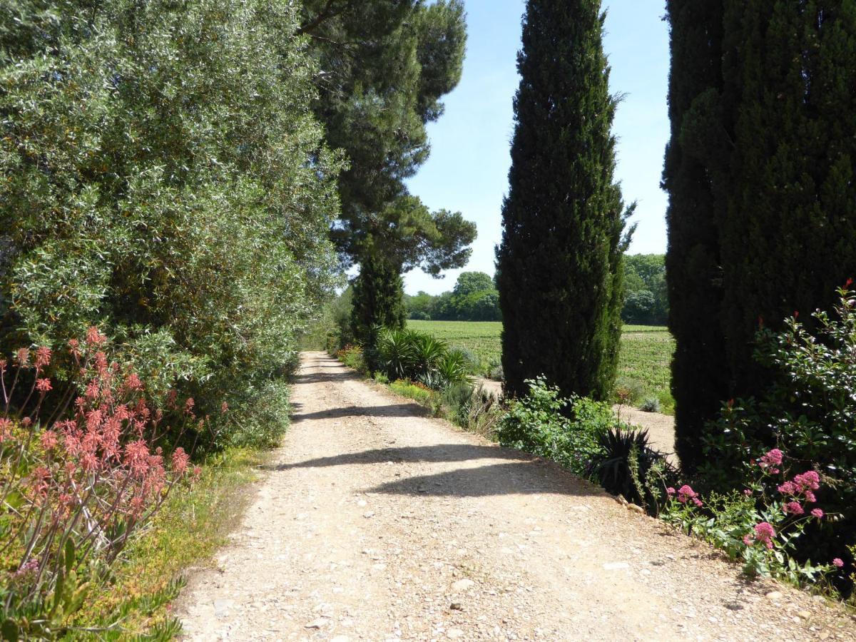 Domaine De L'Herbe Sainte Mirepeisset Esterno foto