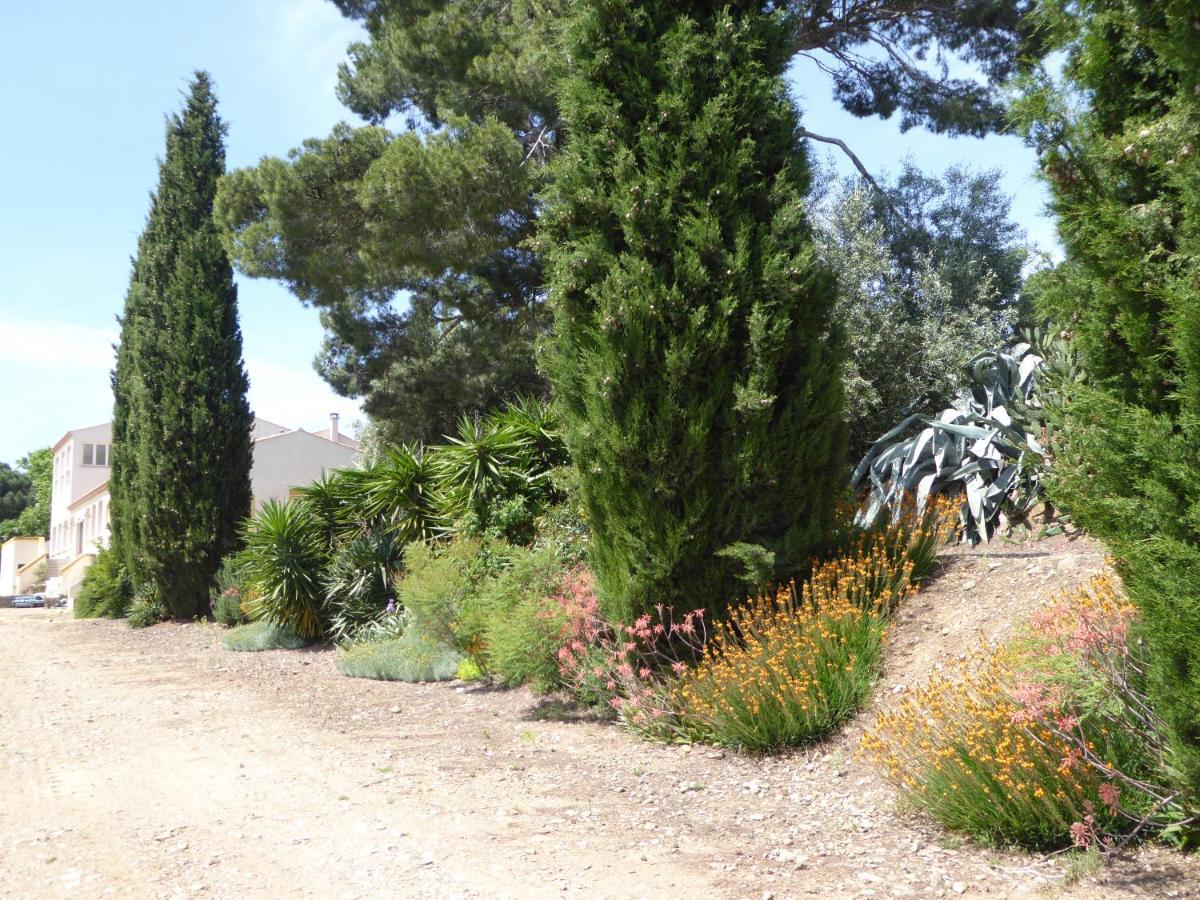Domaine De L'Herbe Sainte Mirepeisset Esterno foto