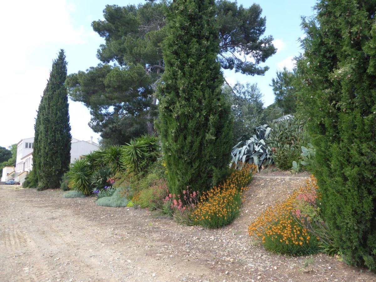 Domaine De L'Herbe Sainte Mirepeisset Esterno foto