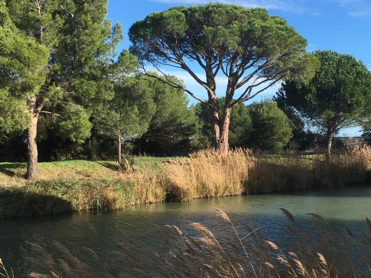 Domaine De L'Herbe Sainte Mirepeisset Esterno foto