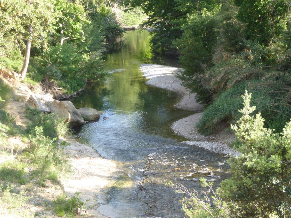 Domaine De L'Herbe Sainte Mirepeisset Esterno foto