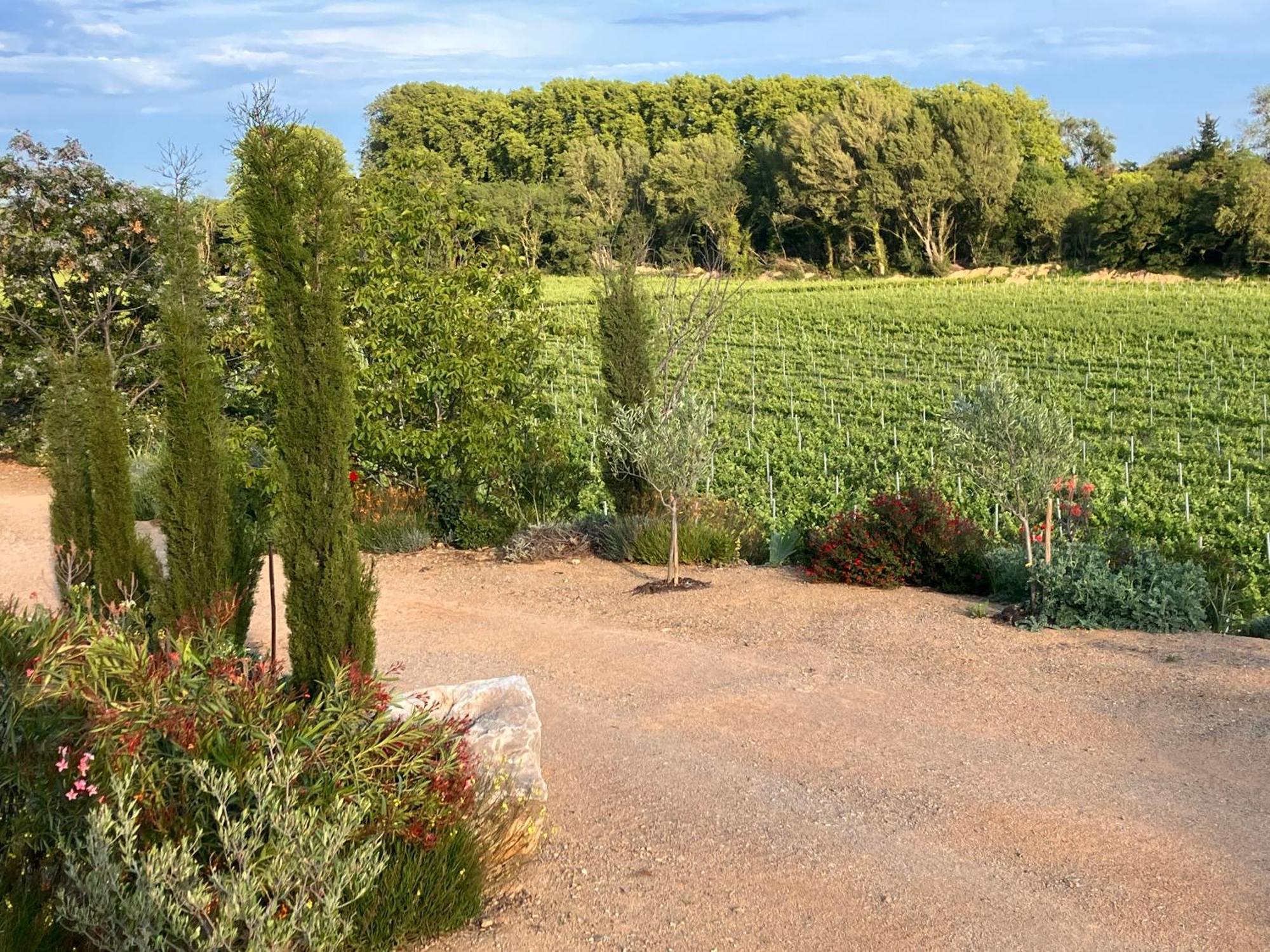 Domaine De L'Herbe Sainte Mirepeisset Esterno foto