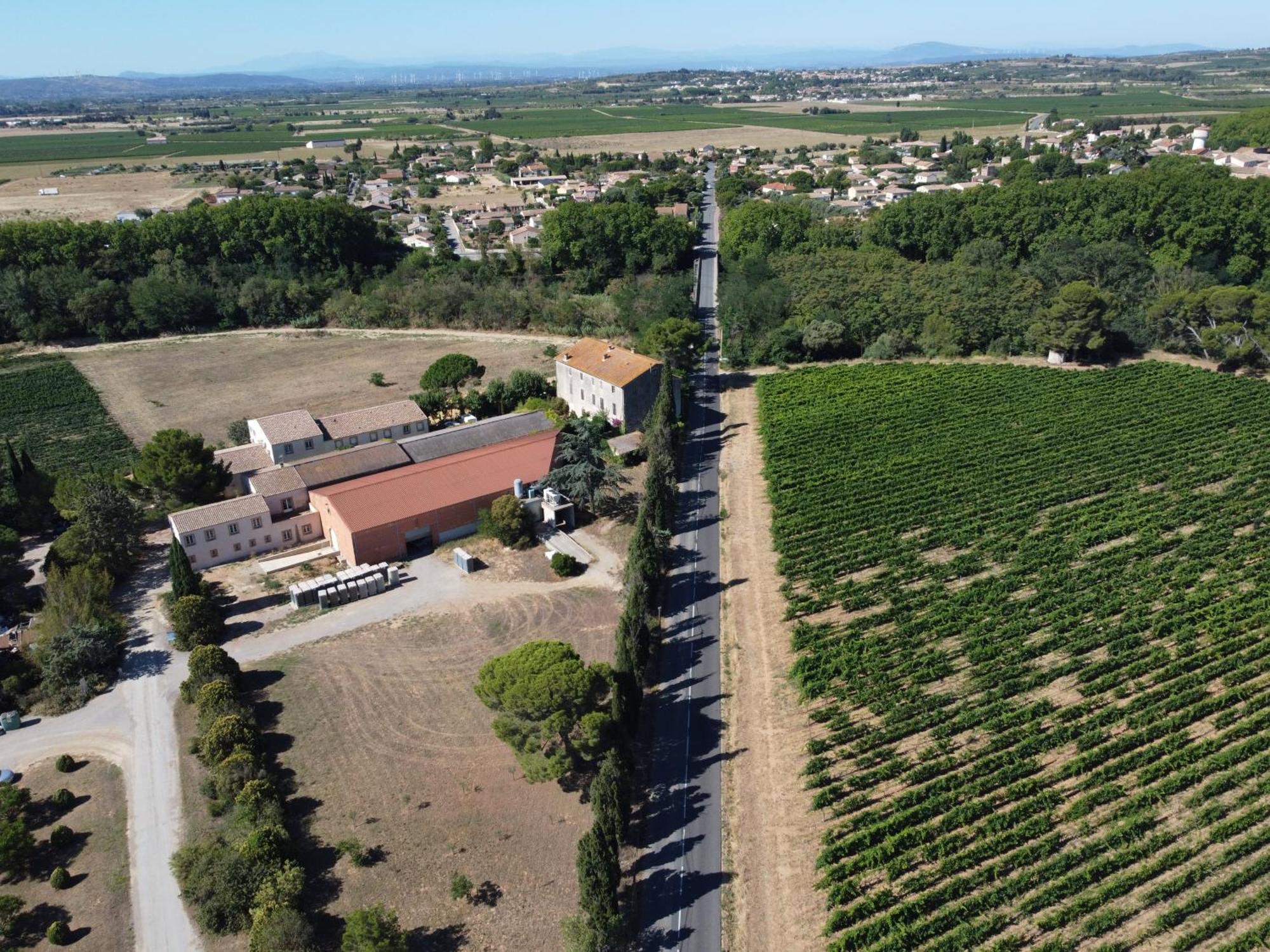 Domaine De L'Herbe Sainte Mirepeisset Esterno foto