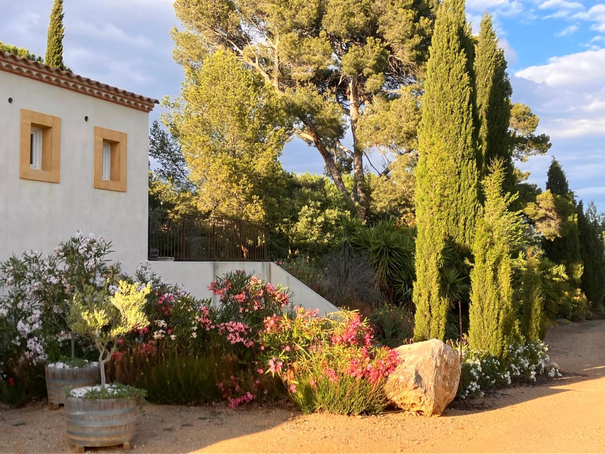 Domaine De L'Herbe Sainte Mirepeisset Esterno foto