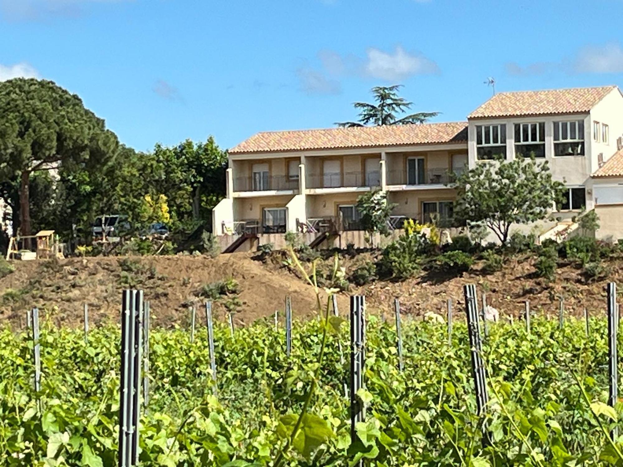 Domaine De L'Herbe Sainte Mirepeisset Esterno foto